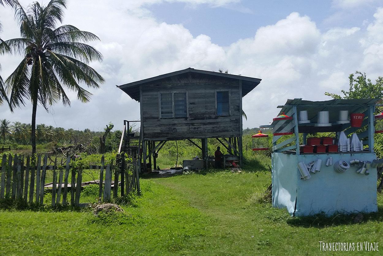 Imágenes del Interior de Guyana